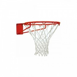 Aro de basquet 