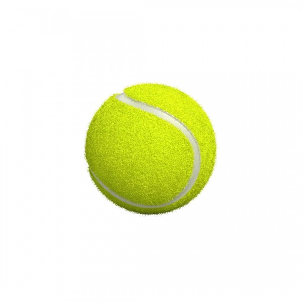 Pelota tenis